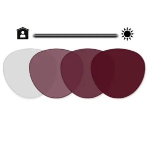 PANTO-Ruby-TRANSITION-GEN-S-2-300x300