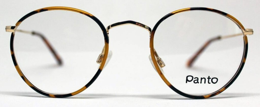 True Panto Shape glasses