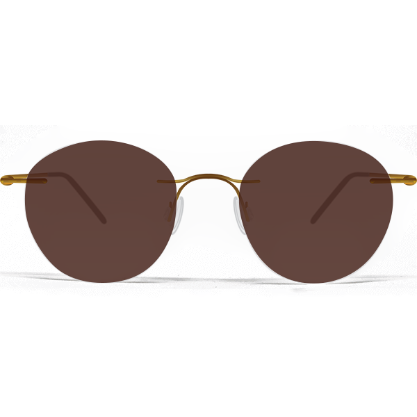 LYON-GO-47-polar-brown-80