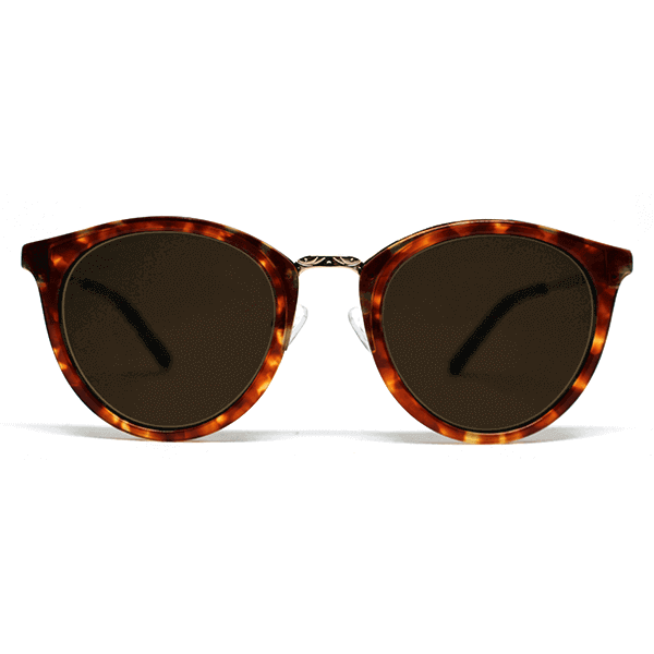 Paris_LB_47-1-with-Polarized-Brown-80-Lens-B50PB2