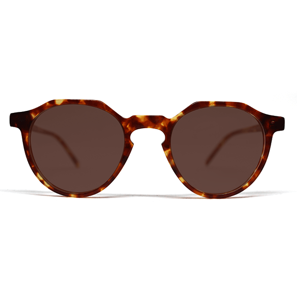 ROME-LB-47-Polar-Brown-80