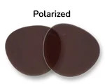 Standard lens Polarized